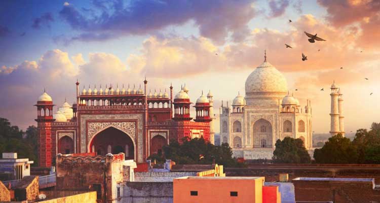 Culinary Delights of the Golden Triangle: Tasting India's Flavours