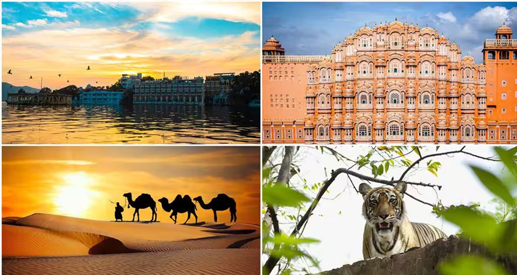 golden triangle tours from delhi