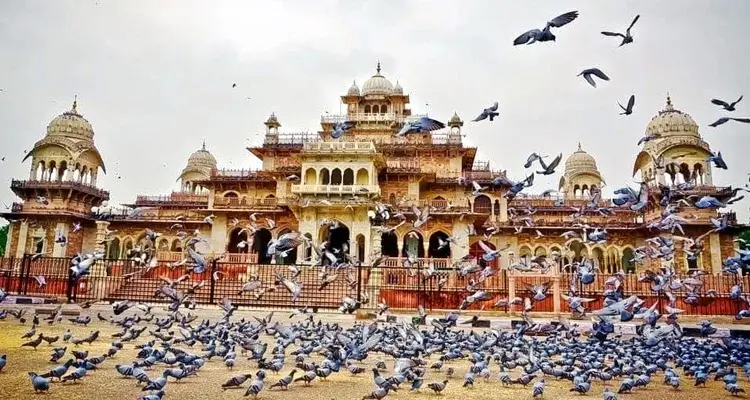 All Inclusive Luxury Rajasthan Tour Vacations