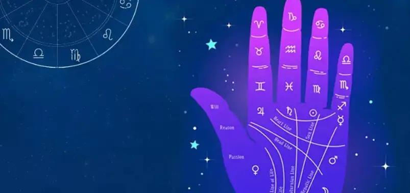 Astrologers and Palmists in Jaipur