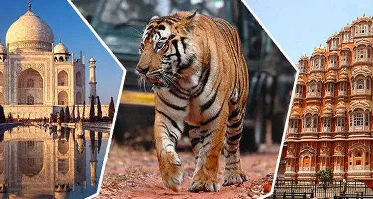 Golden Triangle India Tour with Ranthambore Safari