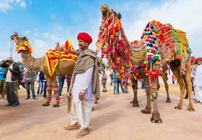 Golden Triangle Tours With Fairs And Festivals