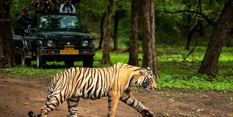 India Boutique Hotel Tour Golden Triangle with Ranthambore Jungle Lodge