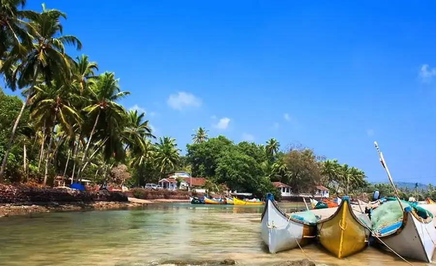 VIP India Tour by Private Jet Golden Triangle Kerala Goa