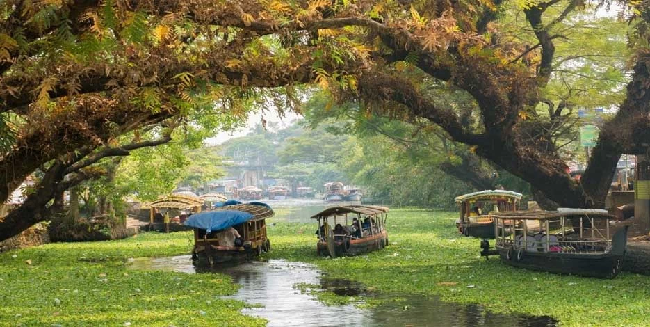 Kerala Golden Triangle