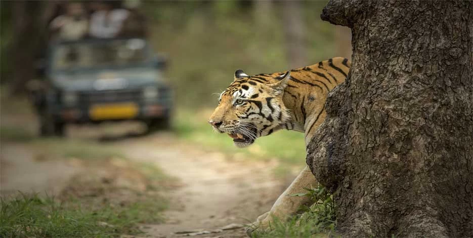 Golden Triangle with Ranthambore Tour