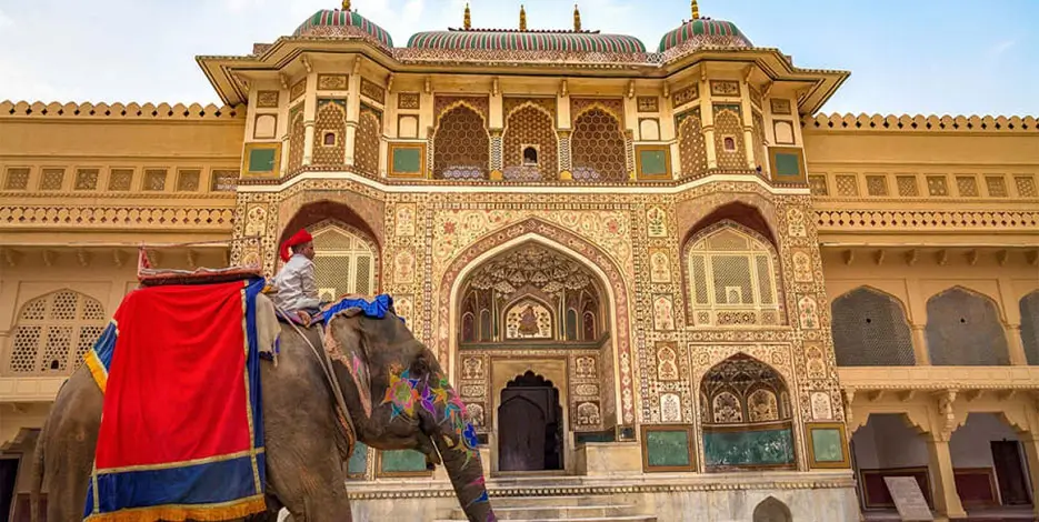 india-elephant-tiger-safari-tour-delhi-agra-jaipur