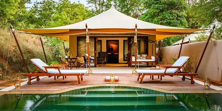 Luxury tented jungle resort villa featuring a private plunge pool and sun loungers.