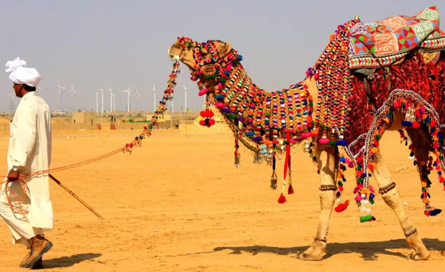 Bespoke India Tour by Private Plane with Personal Concierge Service