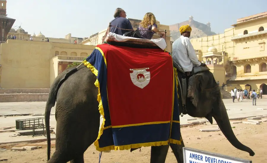 India Royal Private Jet Tour Golden Triangle with Maharaja Experiences