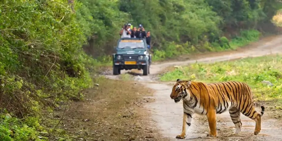 golden-triangle-ranthambore-wildlife-festival-tour