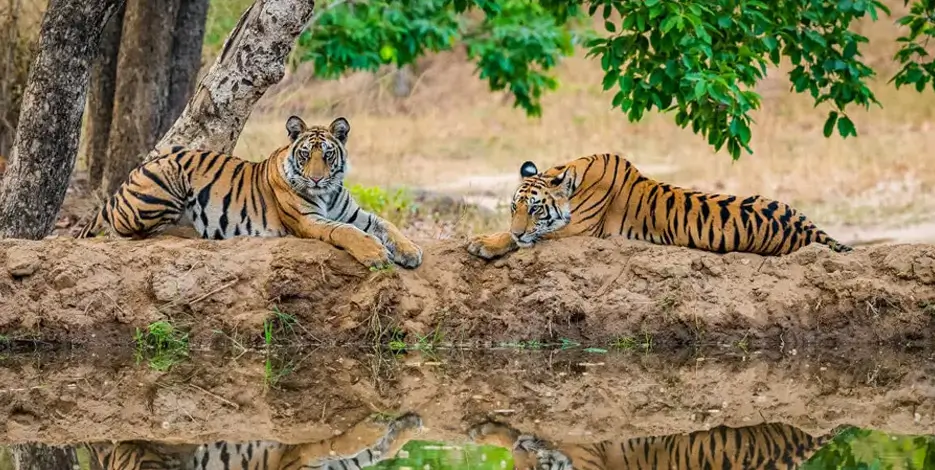 private-rajasthan-royal-palace-tour-with-golden-triangle