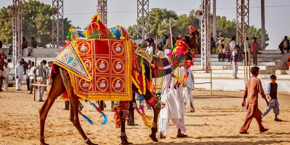 pushkar-camel-fair-tour-with-golden-triangle