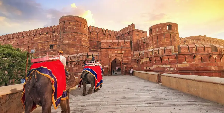 5 Days Golden Triangle Tour from Rajasthan with Ranthambore Wildlife