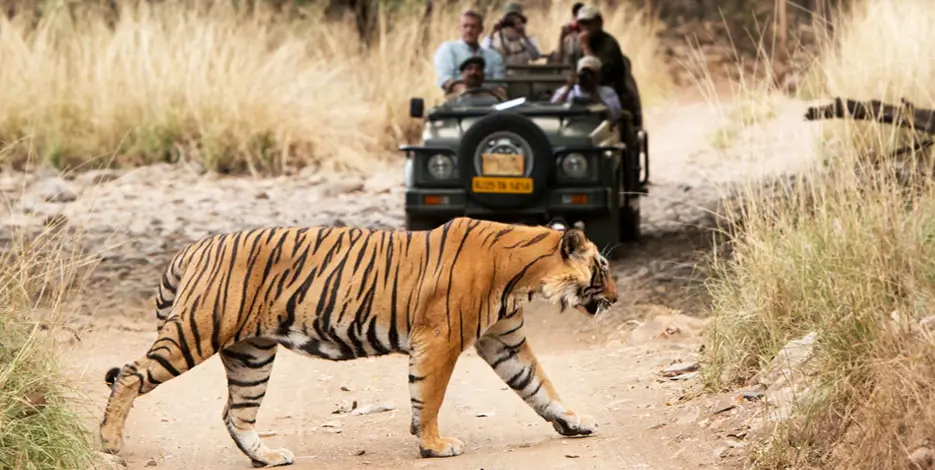 Golden Triangle with SUJAN Hotels India Luxury Boutique Tour