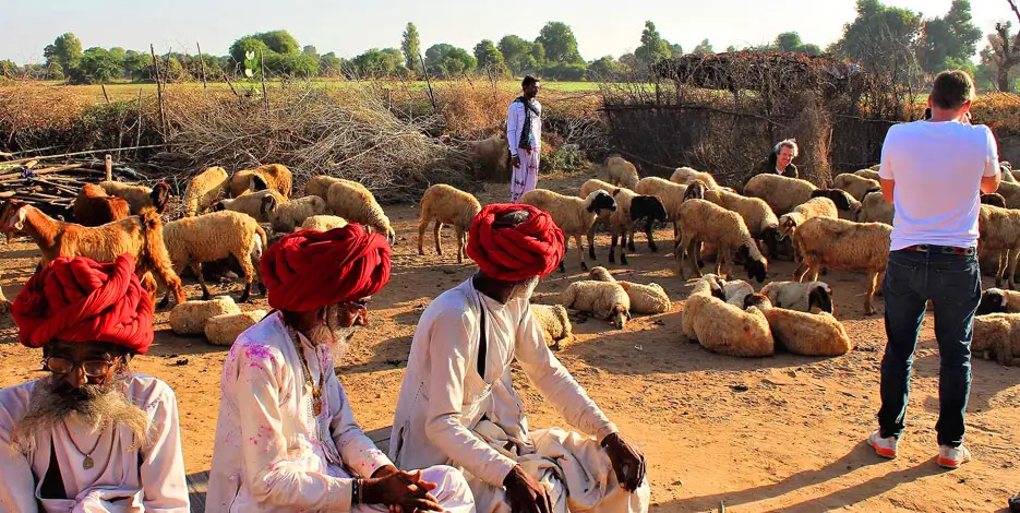 10-Day Rajasthan Tour with Bishnoi Villages & Marwari Horses