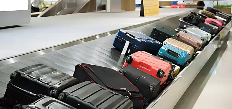 Baggage Claim, Customs, and Exiting the Arrival Area