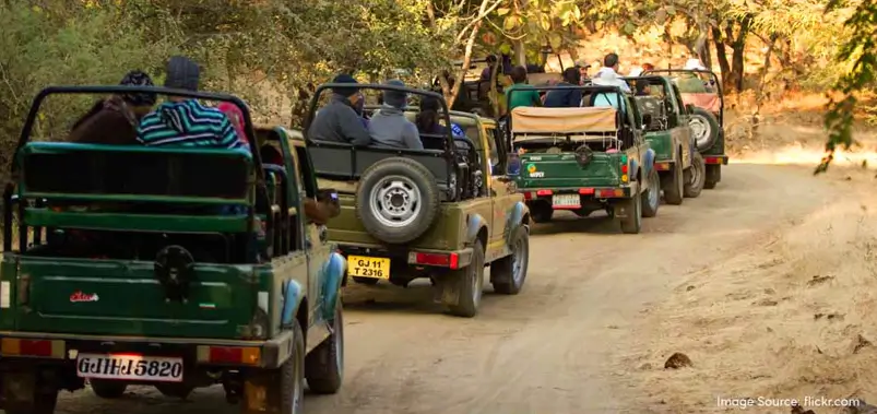 1. Bandipur national park, Karnataka