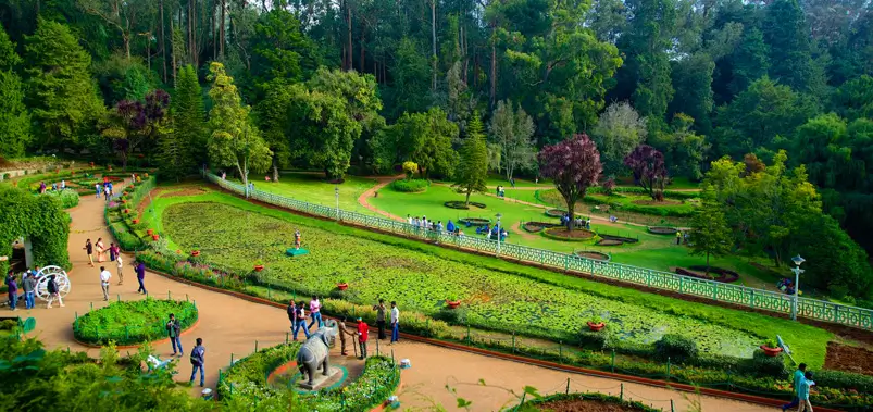 Botanical Garden Ooty