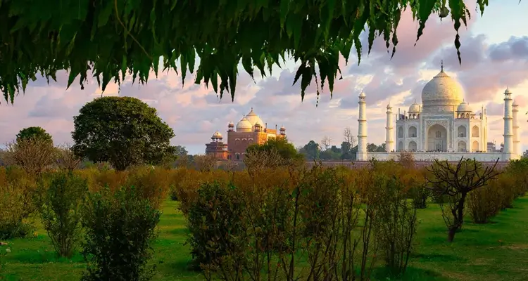Admire the scenic vistas At – Mehtab bagh