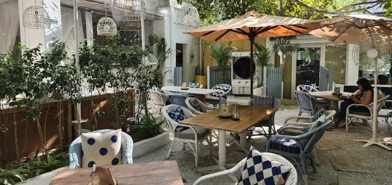 Olive Bar & Kitchen: One of Delhi's Most Stylish Dining Experiences