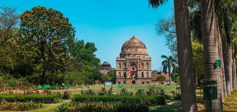 Bird Watching and Nature in the Middle of Delhi