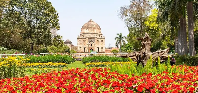 Where Is Lodhi Garden and Why Is It So Special?