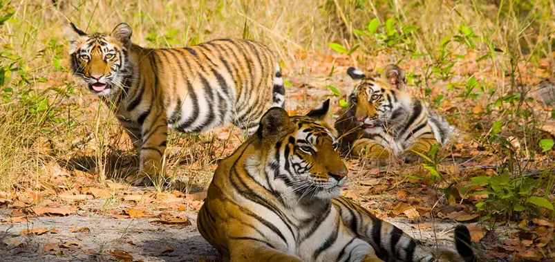 Keoladeo National Park