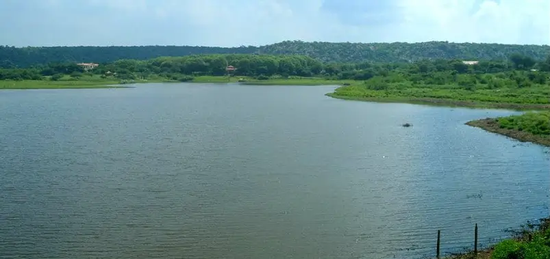 Damdama Lake: A Relaxing Escape Close to Delhi