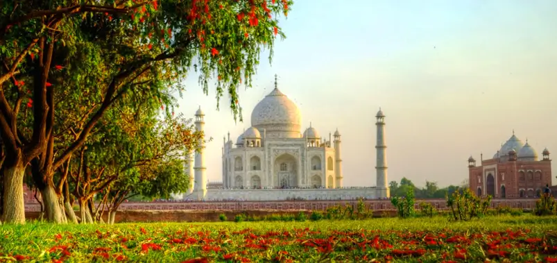 Luxury Travel Tips for Visiting Mehtab Bagh